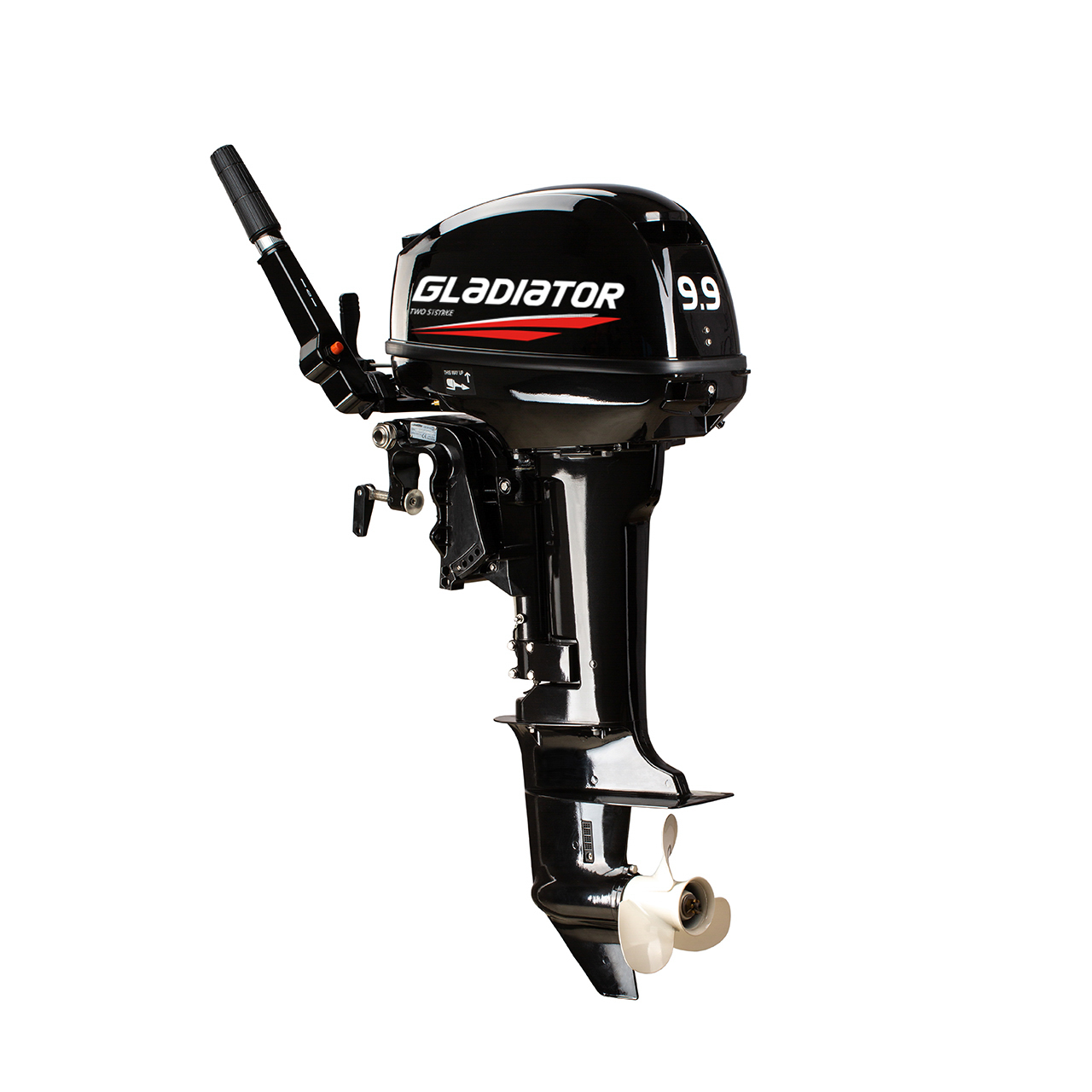 ЛОДОЧНЫЙ МОТОР GLADIATOR G9.9FHS в Дербенте