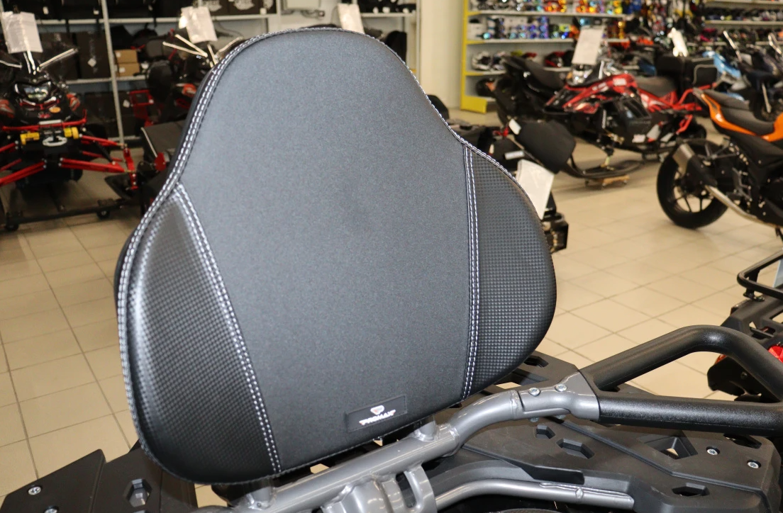 Квадроцикл PROMAX RENEGADE 300 LONG WINCH PRO (2025) в Дербенте