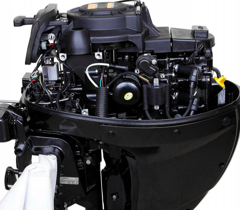 Лодочный мотор MARLIN MF 9.9 AWRS в Дербенте