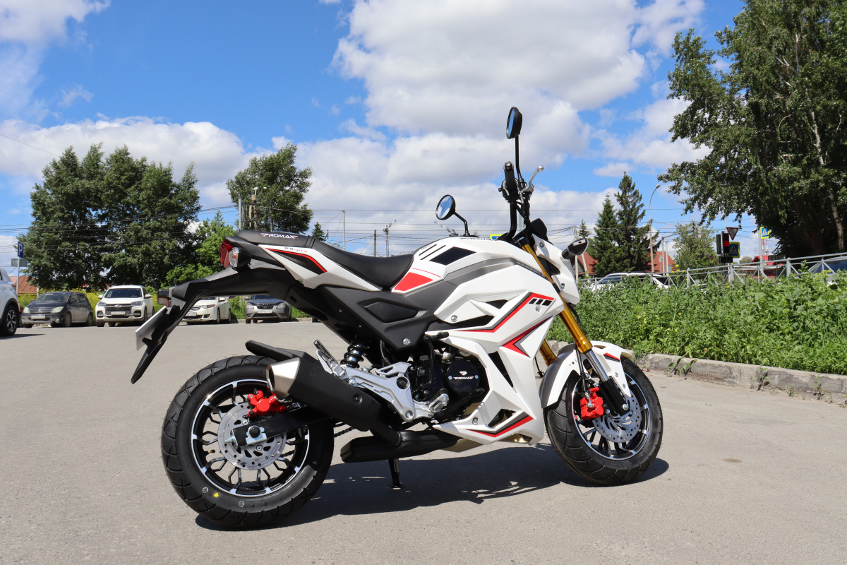 Мотоцикл PROMAX STRYKER 200(49) 2.0 в Дербенте