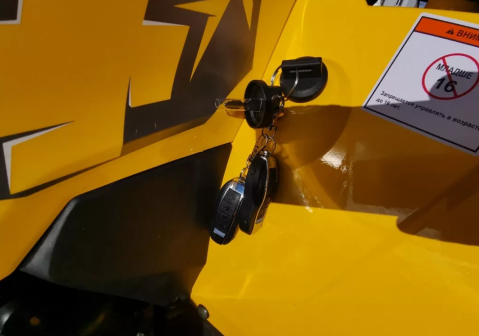 Квадроцикл MOTOLAND (МОТОЛЕНД) VOX200 WILD TRACK X PRO (баланс. вал) в Дербенте