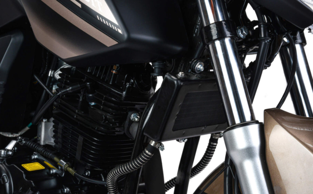 Мотоцикл MOTOLAND (МОТОЛЕНД) 300 BANDIT в Дербенте