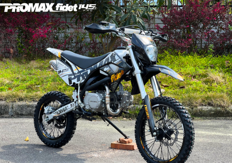 Мотоцикл (питбайк) PROMAX FIDET (ФАЙДЕТ) 145E PRO 17/14 в Дербенте