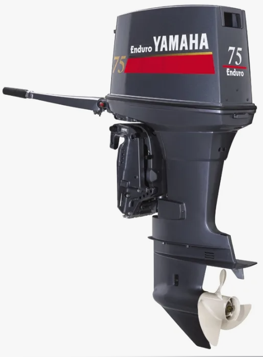 Лодочный мотор YAMAHA E75BMHDL в Дербенте
