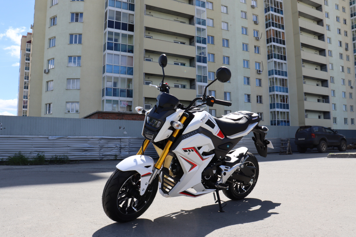 Мотоцикл PROMAX STRYKER 200(49) 2.0 в Дербенте