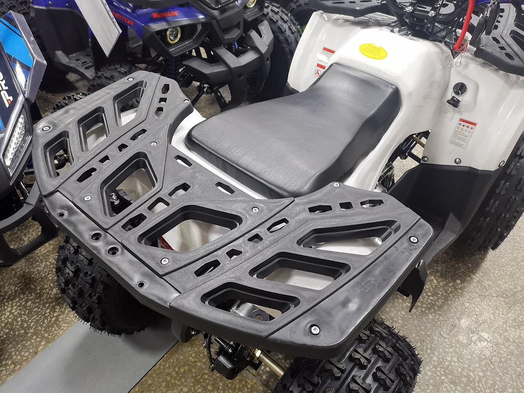 Квадроцикл PROMAX WILD 175 LUX в Дербенте