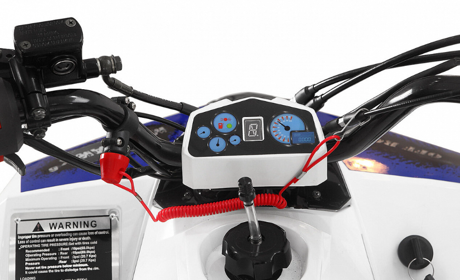 Квадроцикл Yacota Raposa 110 в Дербенте