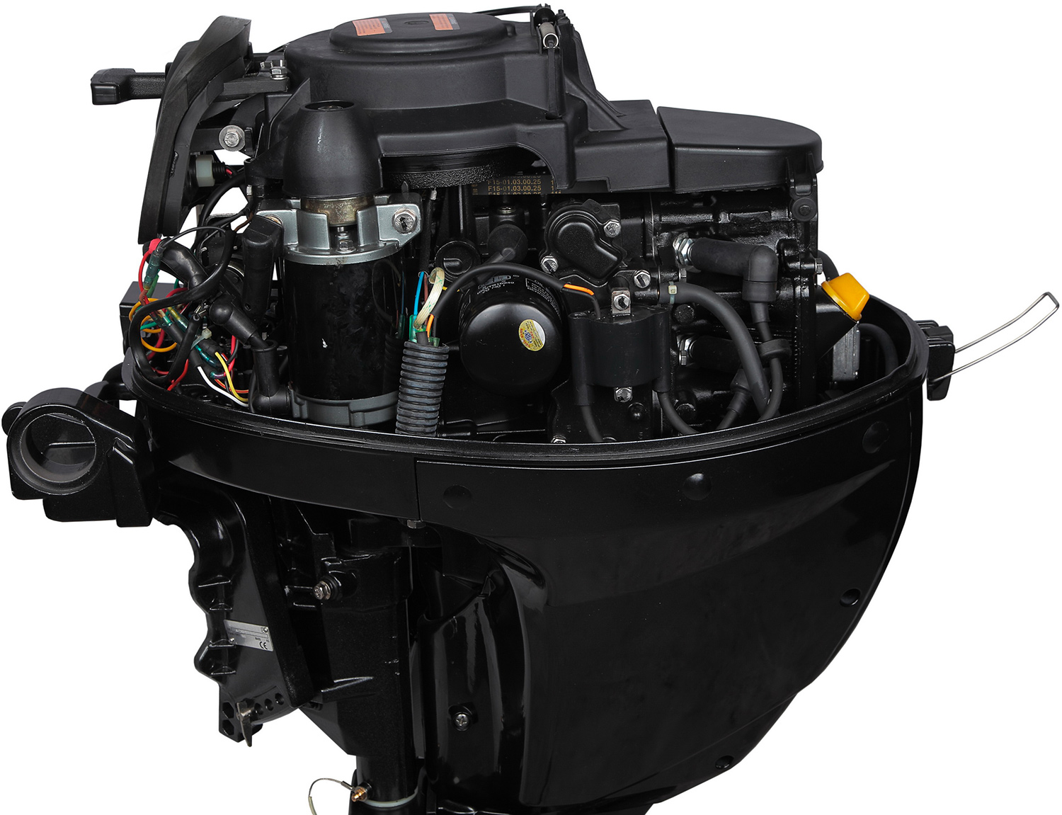 Лодочный мотор MARLIN MF 9.9 AMHL в Дербенте