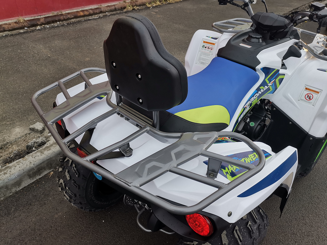 Квадроцикл PROMAX RENEGADE 280 LUX (2025) в Дербенте