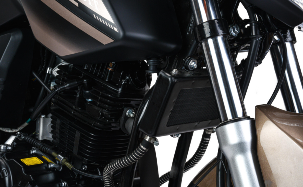 Мотоцикл MOTOLAND (МОТОЛЕНД) 300 BANDIT в Дербенте