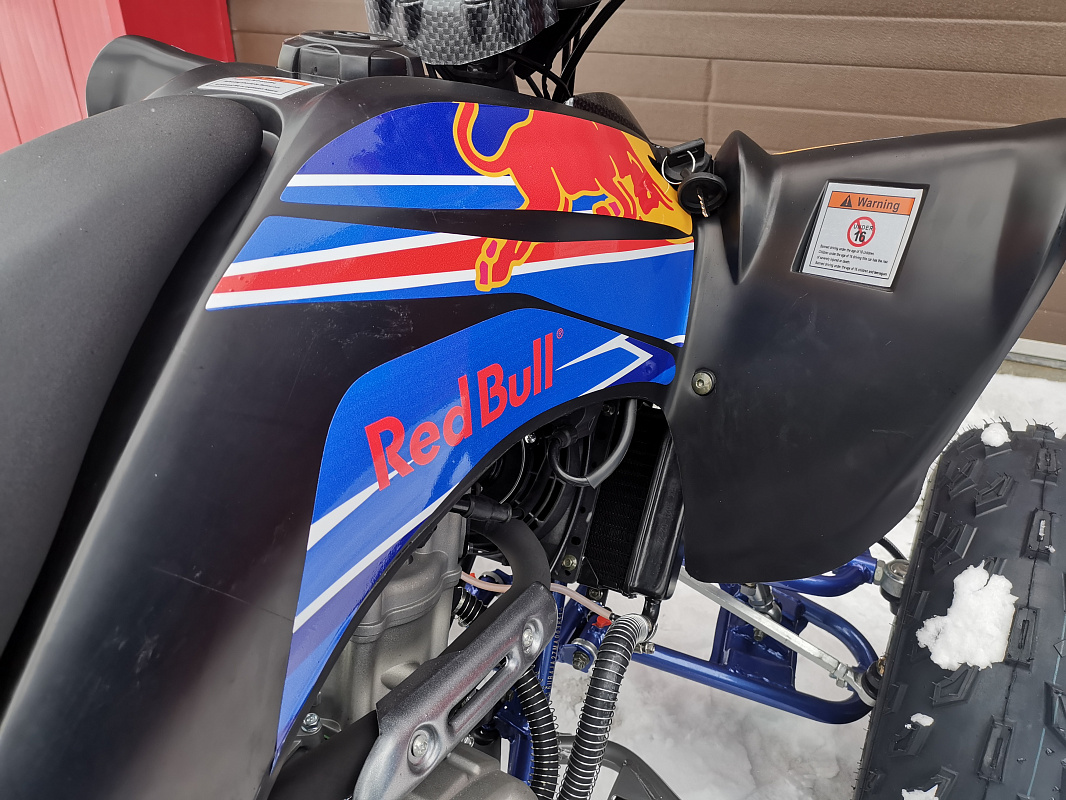 Квадроцикл PROMAX RAPTOR 300 NEW RedBull в Дербенте