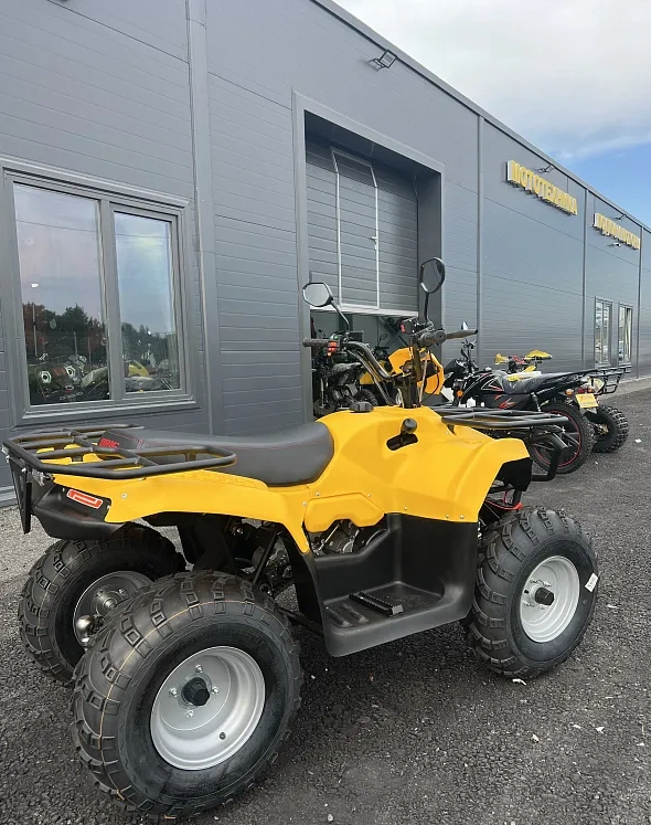 КВАДРОЦИКЛ IRBIS ATV 250  в Дербенте