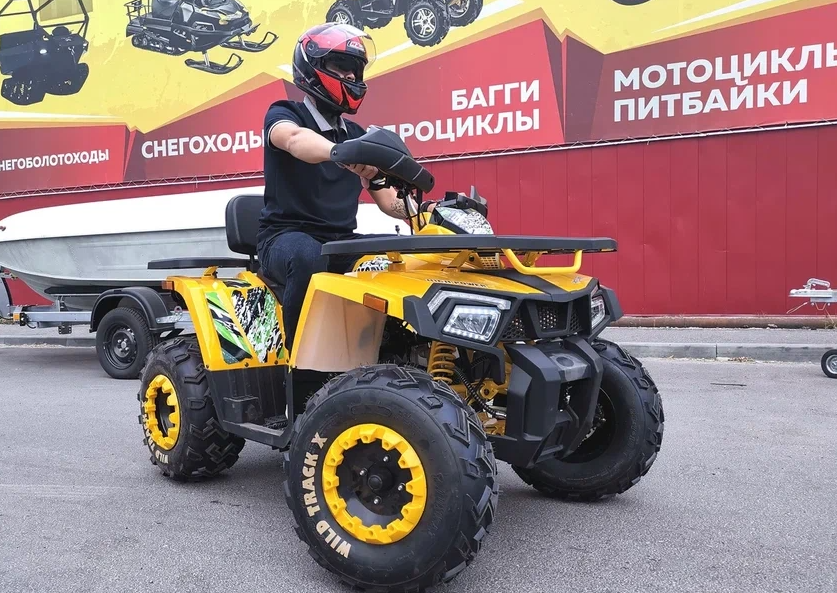Квадроцикл PROMAX STORM 280 LUX в Дербенте