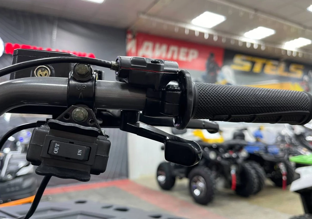 Квадроцикл PROMAX RENEGADE 300 LONG WINCH PRO (2025) в Дербенте