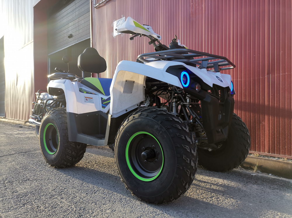 Квадроцикл PROMAX RENEGADE 280 LUX (2025) в Дербенте