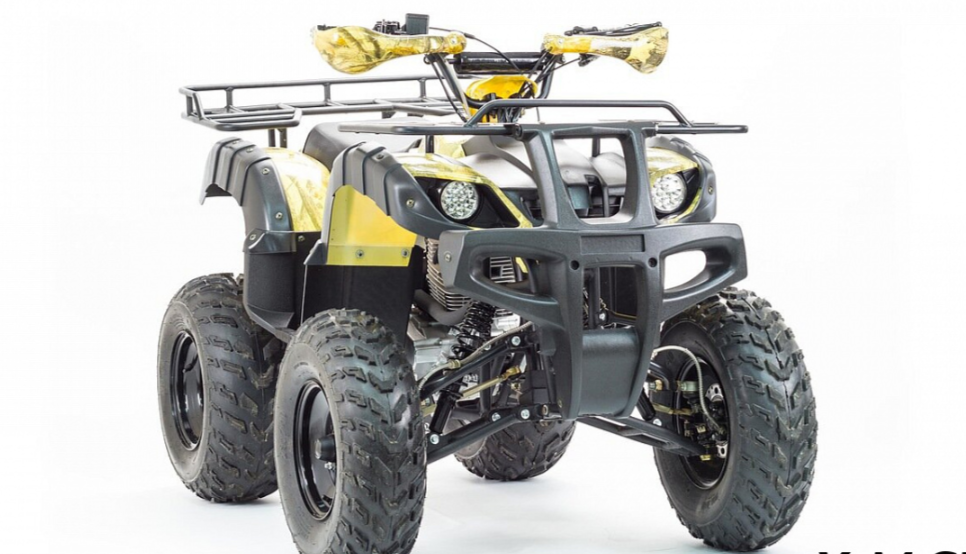 Квадроцикл MOTOLAND (МОТОЛЕНД) 250 ADVENTURE в Дербенте