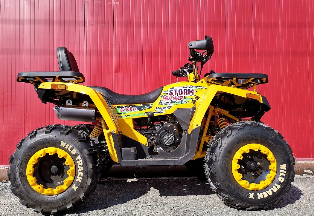 Квадроцикл PROMAX STORM 280 LUX в Дербенте