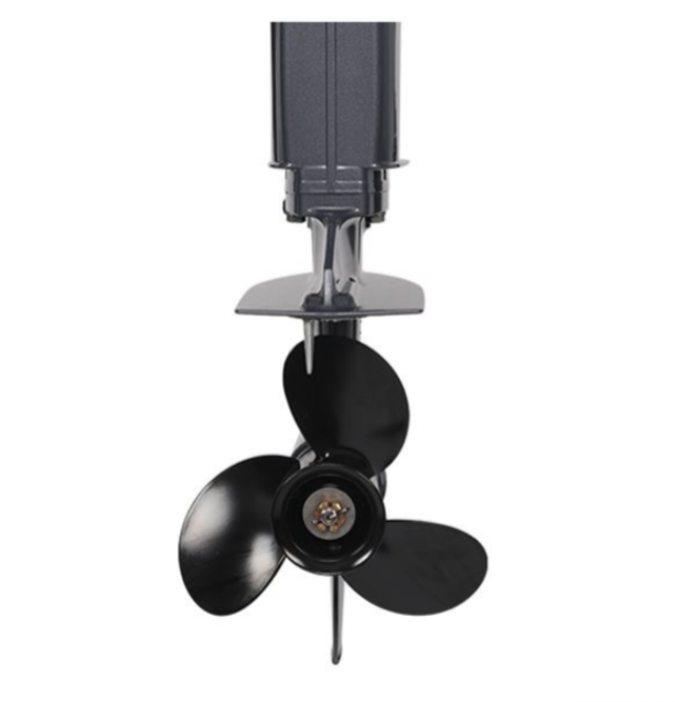 Лодочный мотор ALLFA CG Т40FW S в Дербенте