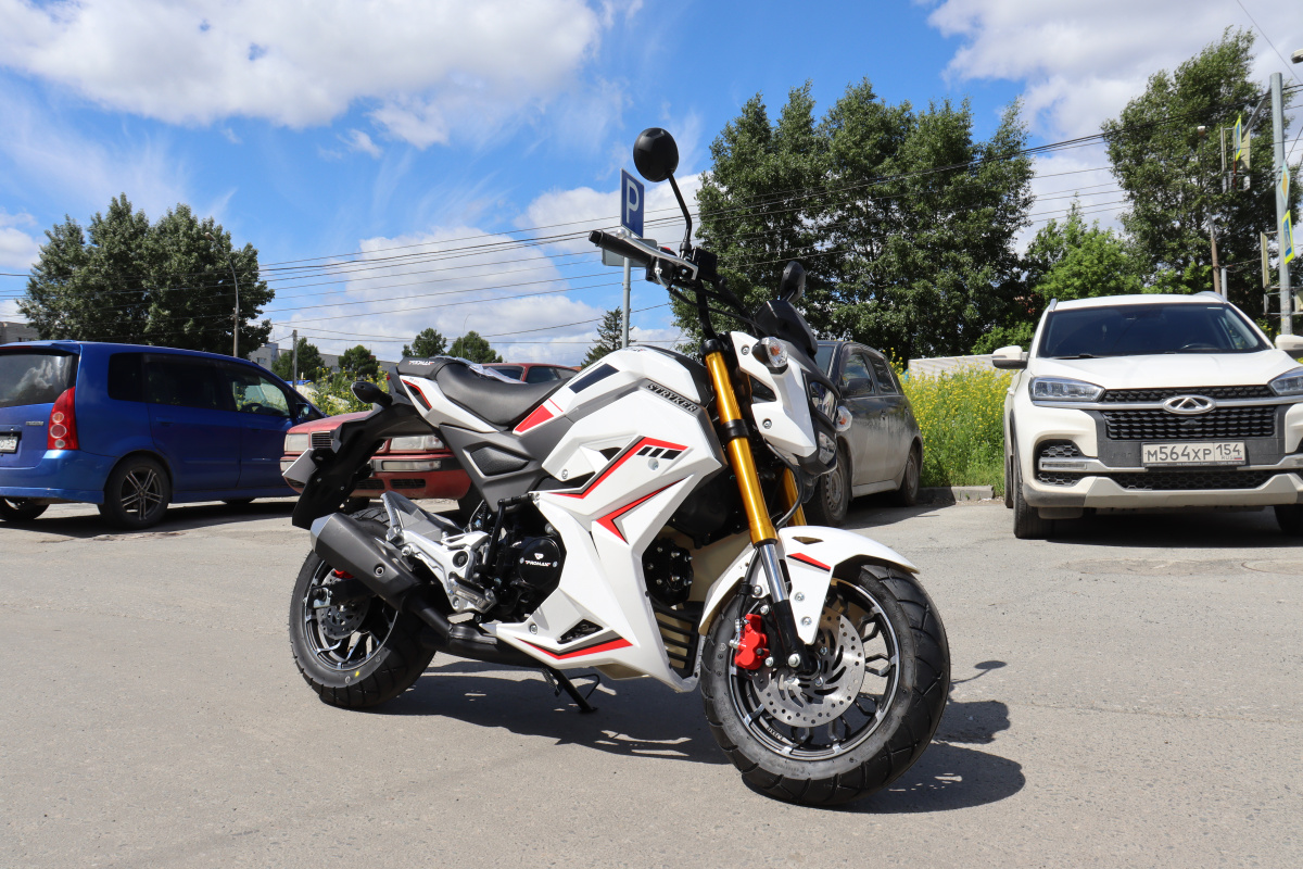 Мотоцикл PROMAX STRYKER 200(49) 2.0 в Дербенте