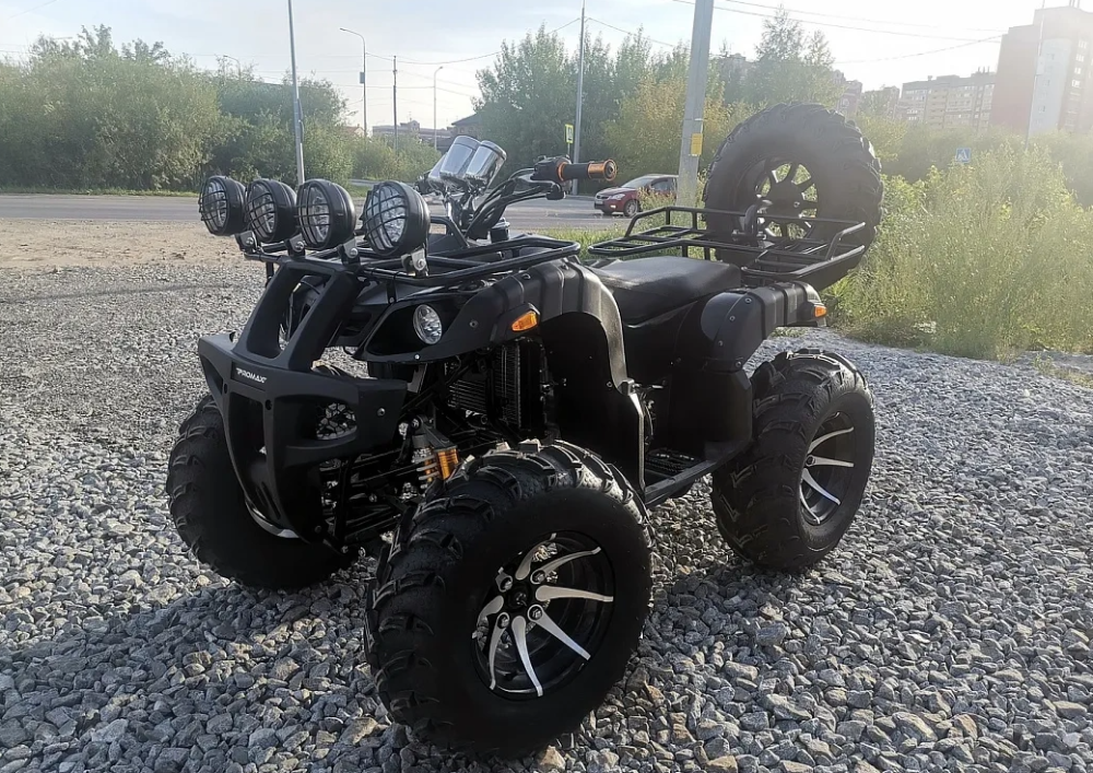 Квадроцикл PROMAX LEO 300 Max (кардан) в Дербенте
