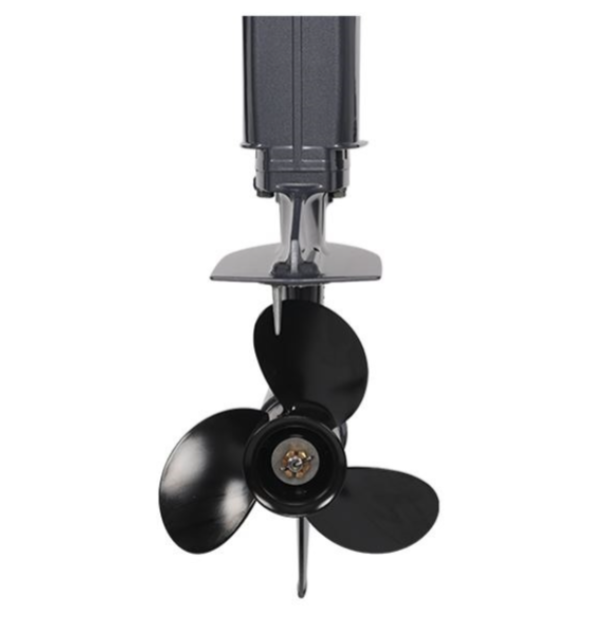 Лодочный мотор ALLFA CG Т40FWT S в Дербенте