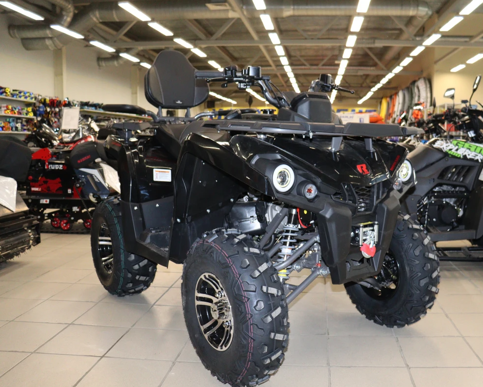Квадроцикл PROMAX RENEGADE 300 LONG WINCH PRO (2025) в Дербенте