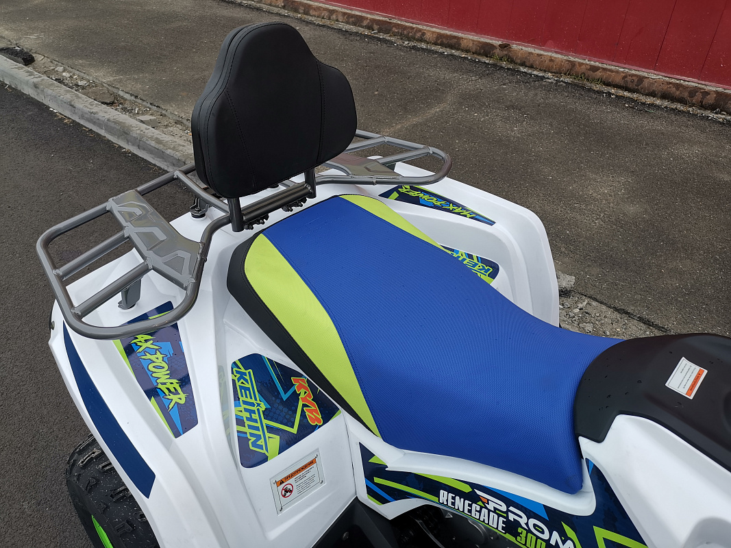 Квадроцикл PROMAX RENEGADE 280 LUX (2025) в Дербенте