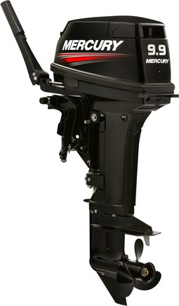 ЛОДОЧНЫЙ МОТОР MERCURY 9.9 MH TMC 247 CC в Дербенте