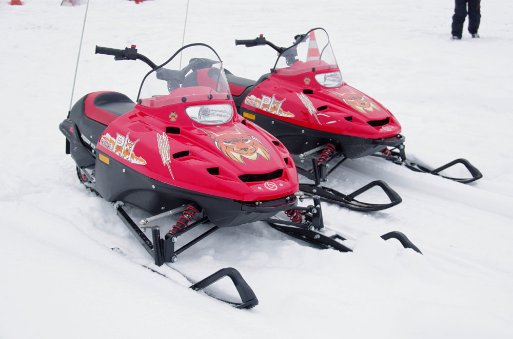 Снегоход РМ ТАЙГА РЫСЬ в Дербенте