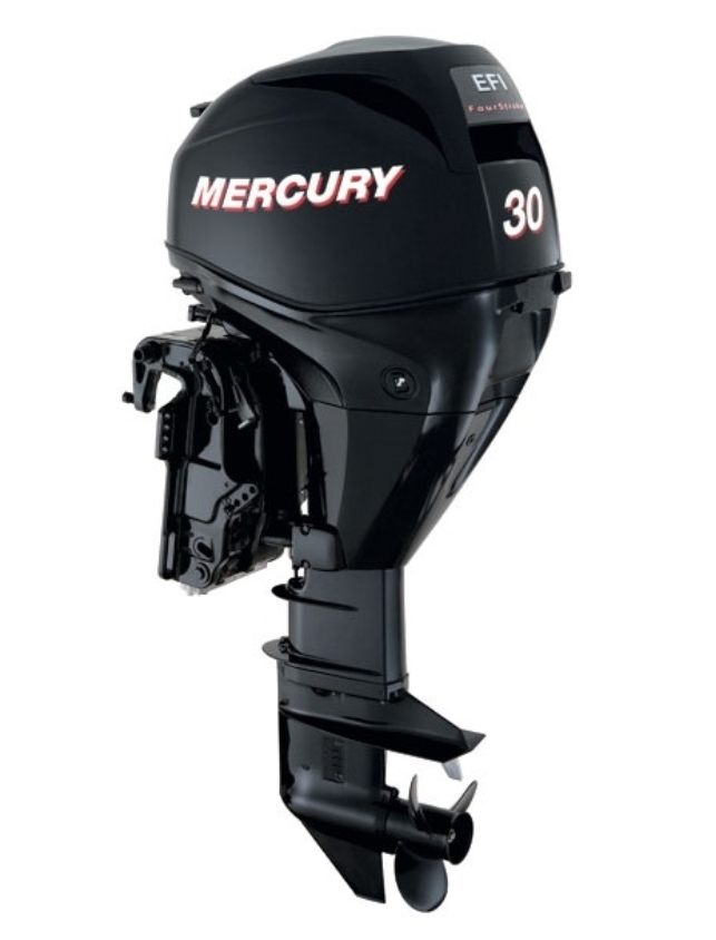 ЛОДОЧНЫЙ МОТОР MERCURY  F 30 ELH GA EFI в Дербенте
