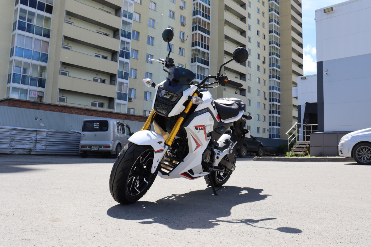 Мотоцикл PROMAX STRYKER 200(49) 2.0 в Дербенте