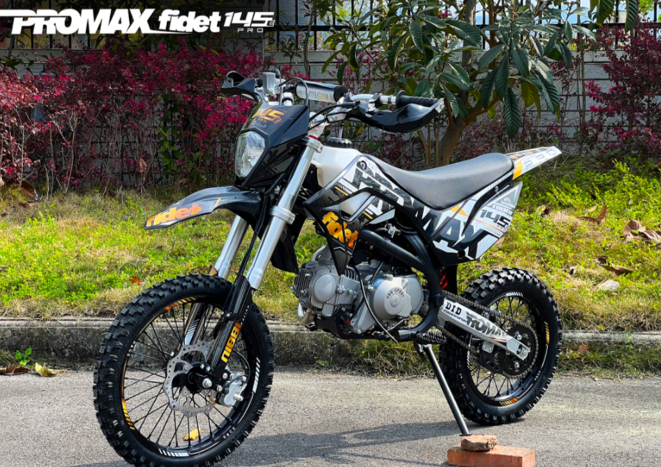 Мотоцикл (питбайк) PROMAX FIDET (ФАЙДЕТ) 145E PRO 17/14 в Дербенте