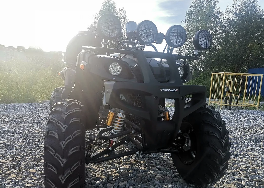 Квадроцикл PROMAX LEO 300 Max (кардан) в Дербенте