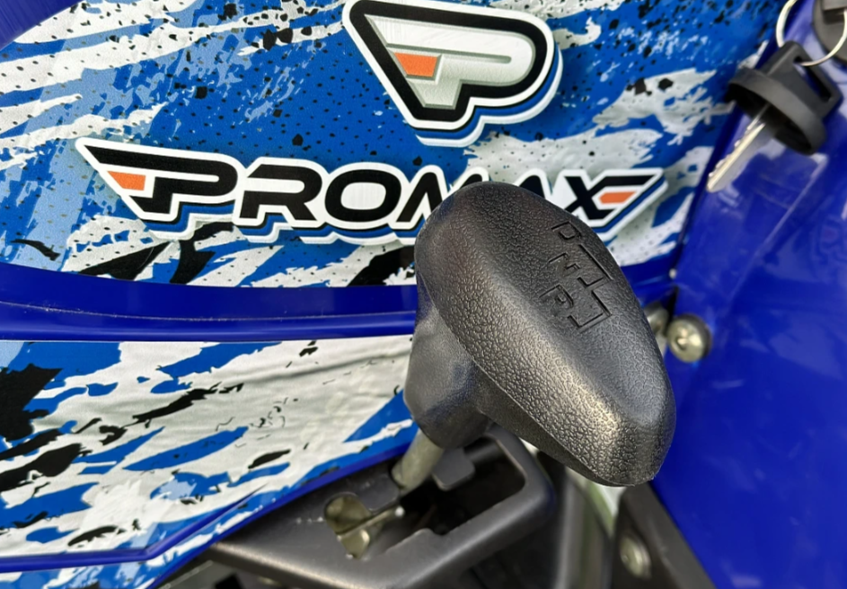  Квадроцикл PROMAX ATV 250 MAX (2025) в Дербенте