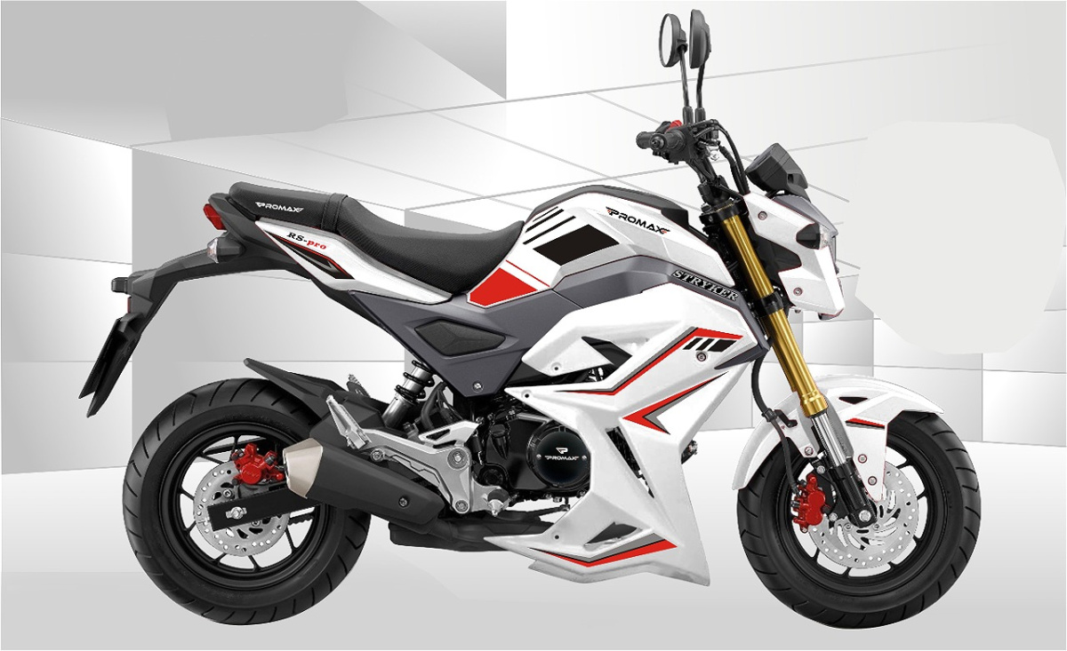 Мотоцикл PROMAX STRYKER 200(49) 2.0 в Дербенте