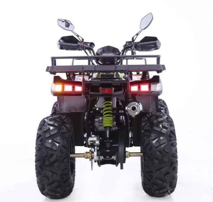 Квадроцикл YACOTA WARRIOR 200 PRO в Дербенте