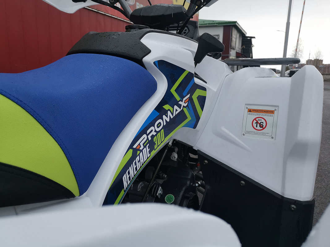 Квадроцикл PROMAX RENEGADE 280 LUX (2025) в Дербенте
