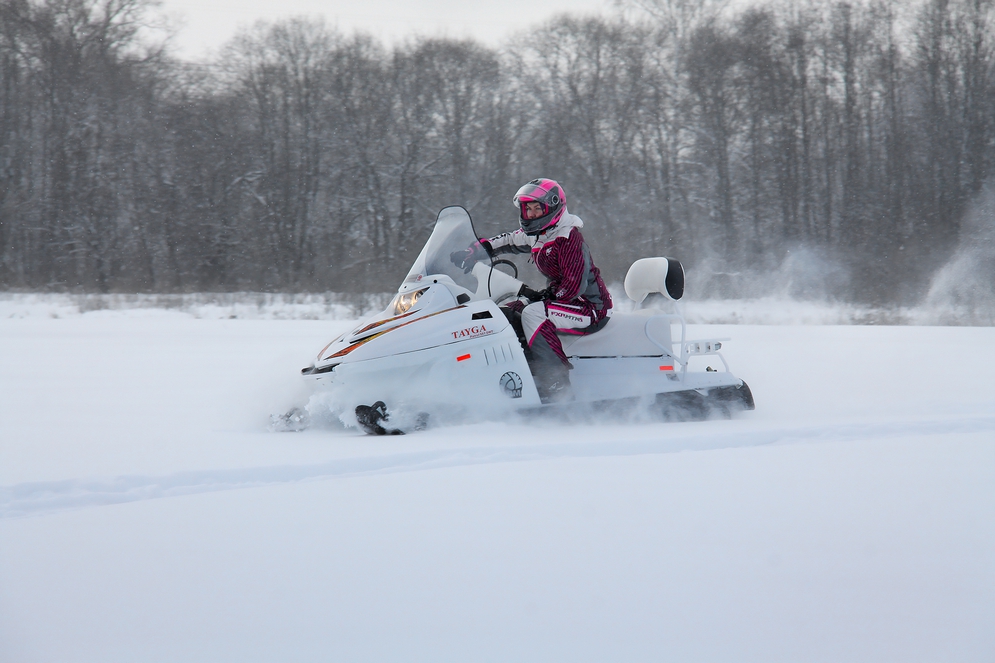 СНЕГОХОД РМ ТАЙГА ПАТРУЛЬ 551 SWT в Дербенте