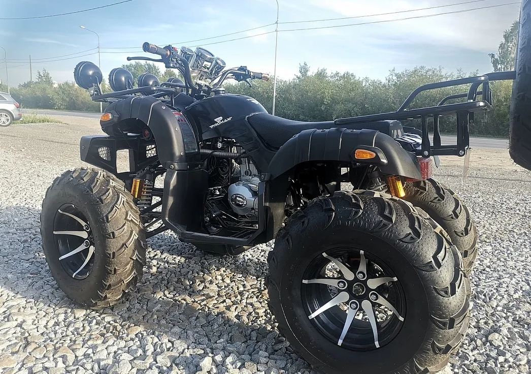 Квадроцикл PROMAX LEO 300 Max (кардан) в Дербенте