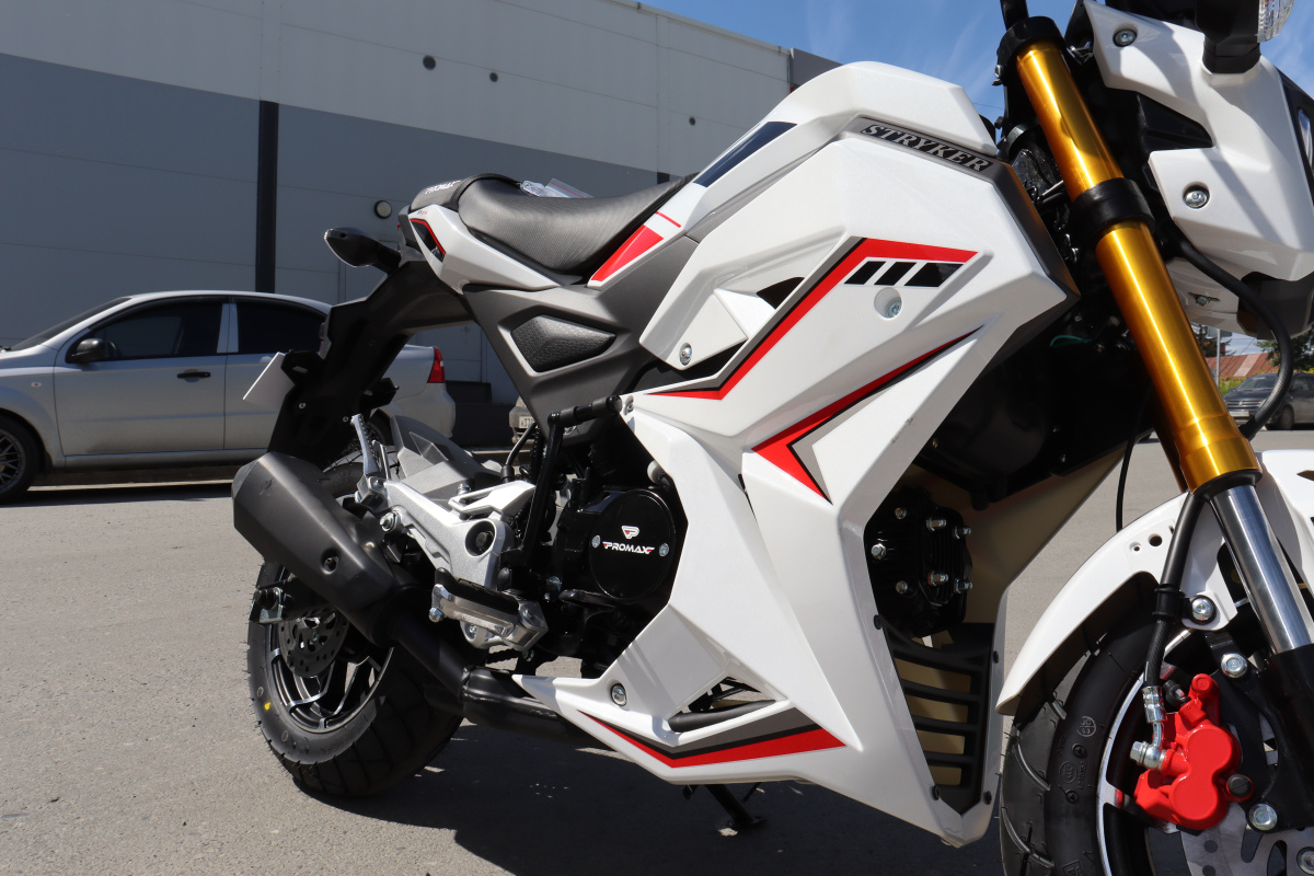 Мотоцикл PROMAX STRYKER 200(49) 2.0 в Дербенте