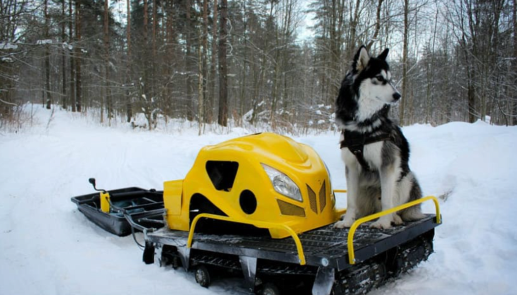 Мотобуксировщик LEBEDEV MOTORS ВОЛКОДАВ POWER V13 в Дербенте