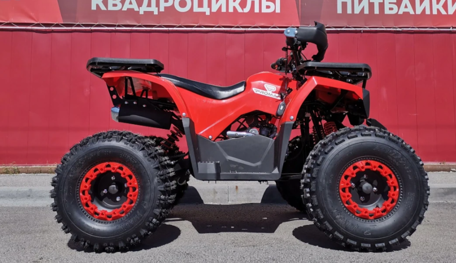 Квадроцикл PROMAX WILD 175 BASIC в Дербенте