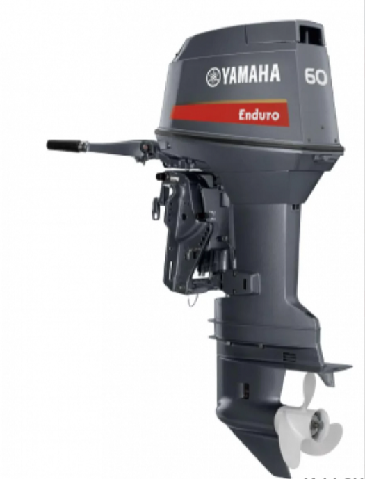 Лодочный мотор YAMAHA E60HMHDL в Дербенте