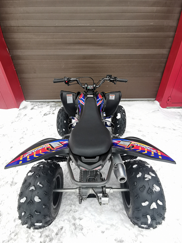Квадроцикл PROMAX RAPTOR 300 NEW RedBull в Дербенте