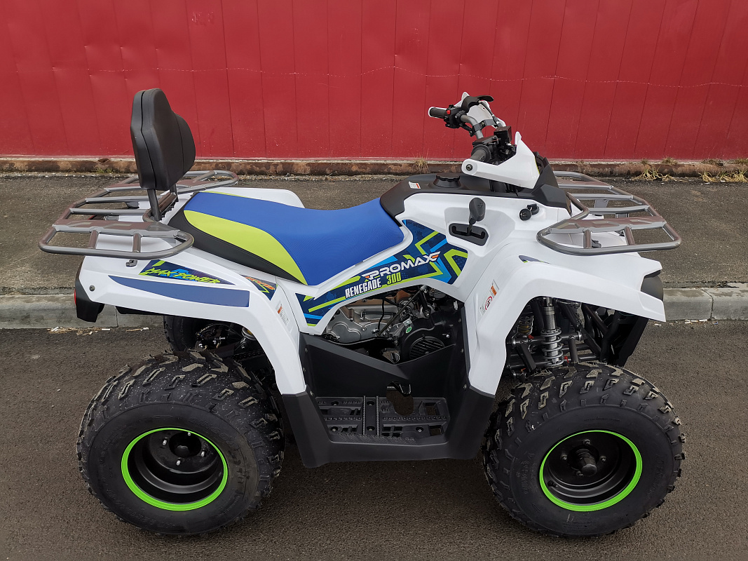 Квадроцикл PROMAX RENEGADE 280 LUX (2025) в Дербенте