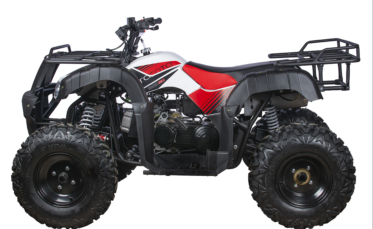 Квадроцикл YACOTA SELA 200 в Дербенте