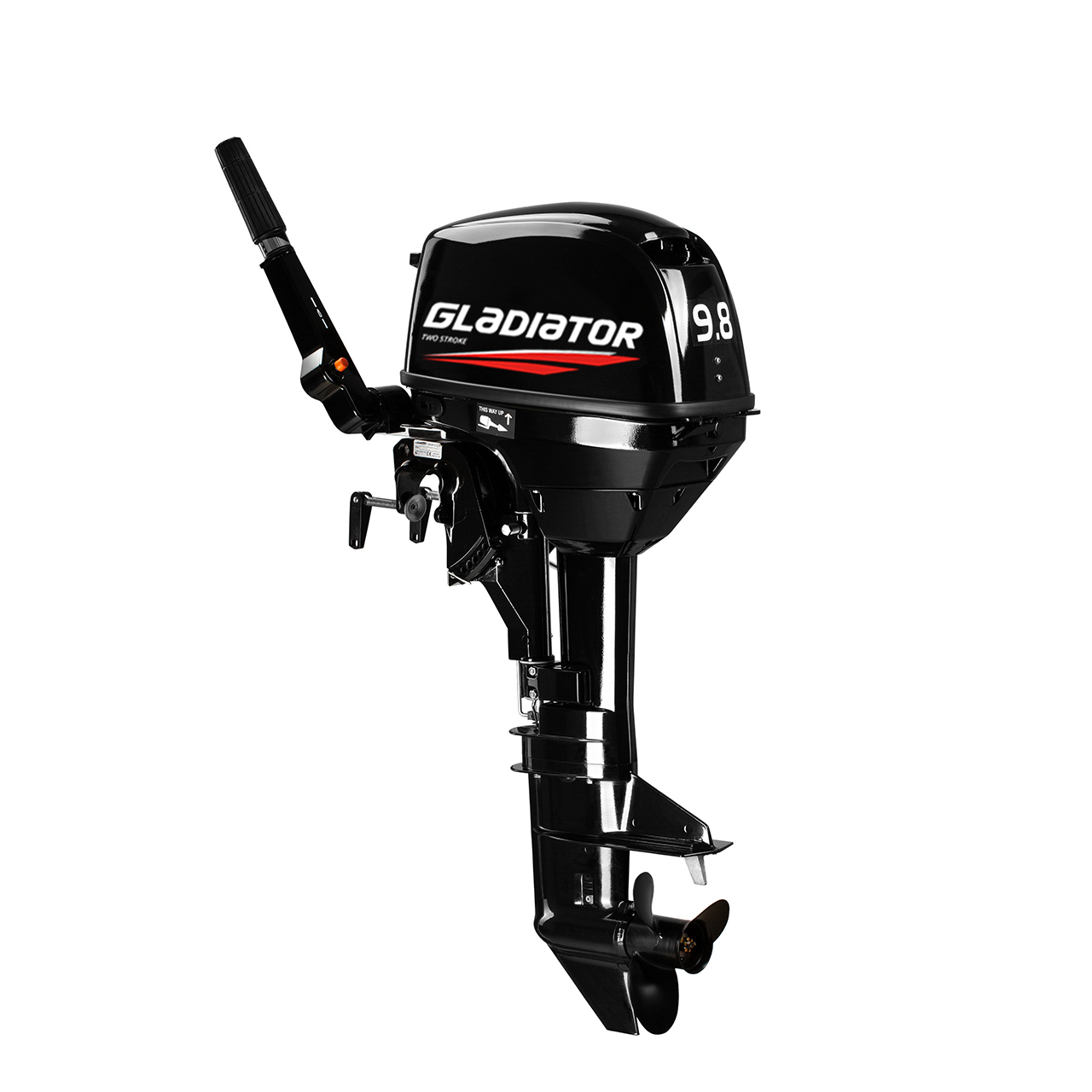 ЛОДОЧНЫЙ МОТОР GLADIATOR G9.8FHS в Дербенте