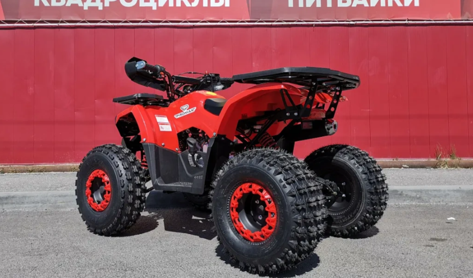 Квадроцикл PROMAX WILD 175 BASIC в Дербенте