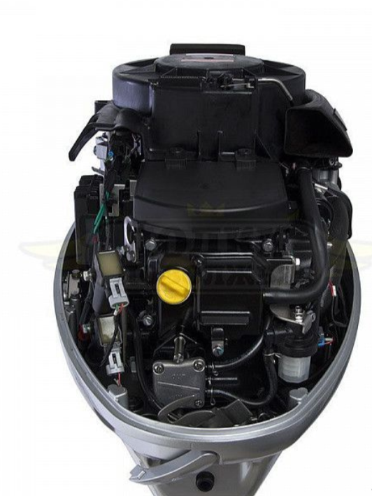 Лодочный мотор SEANOVO SNEF30FEL-EFI в Дербенте