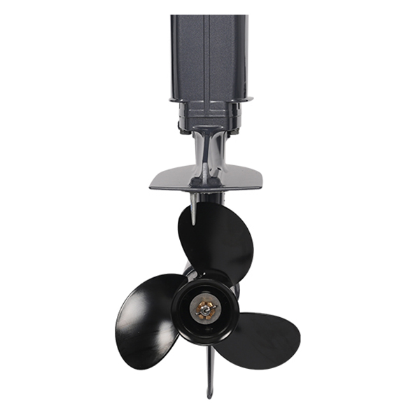 Лодочный мотор ALLFA CG T9.9(20) MAX Limit в Дербенте